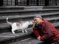 摄影师拍摄猫咪的10个小贴士